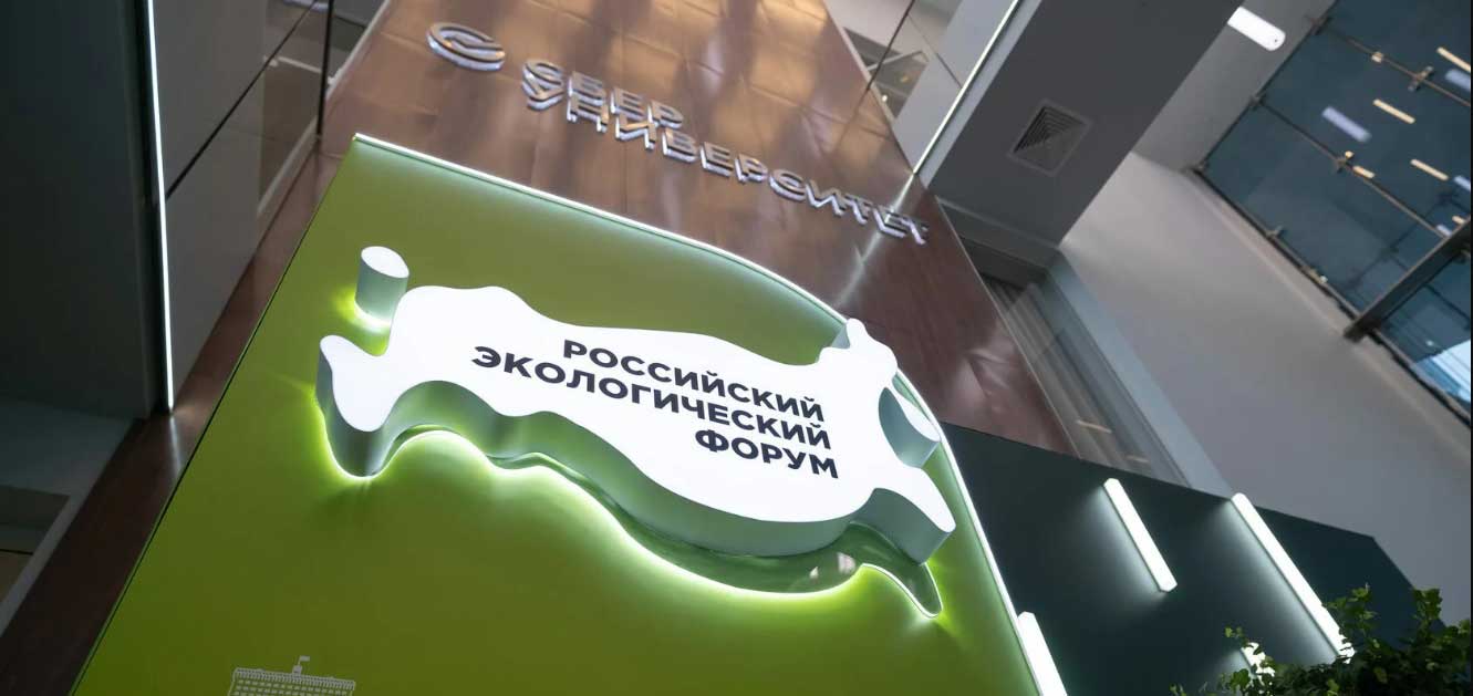 Государственная поддержка: карта возможностей и скрытых условий
